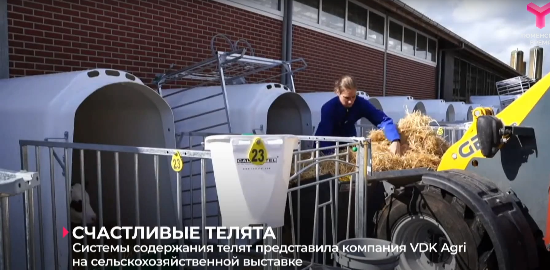 Системы содержания телят от VDK-AGRI